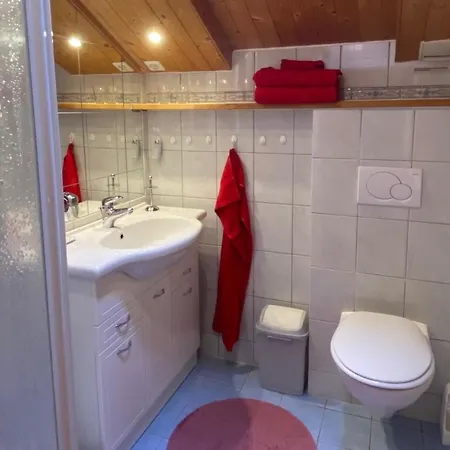 Διαμέρισμα Meielblick By Interhome Γκστάαντ