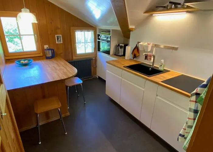 Meielblick By Interhome Gstaad